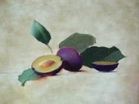 Italian Plums II by Rebecca Gray