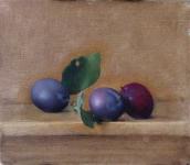 Italian Plums by Rebecca Gray