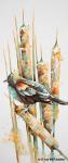 Red-Winged Blackbird I by Denise McFadden
