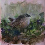 Wren by Emily Schultz-McNeil