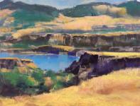 Steve Hill