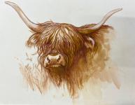 Heilan Coo by Mike Rangner
