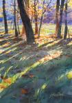 Dancing Colors and Light by Yong Hong Zhong