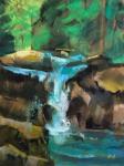 Salmon Cascades Revisited by Steve Hill
