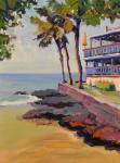 Flip Flop Inn by Joanne Shellan
