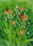 Edgefield Lillies by Fay Kahn
